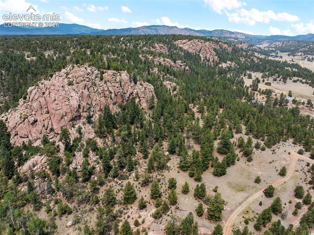 1137 County Road 111 Florissant CO 80816