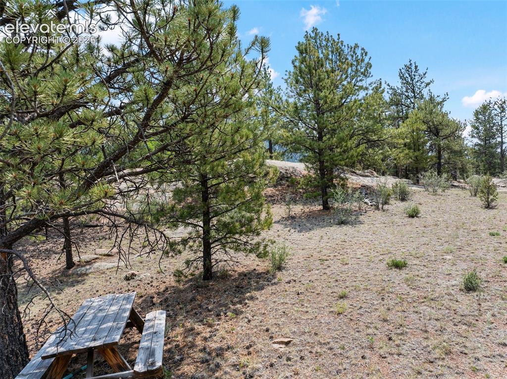 1137 County Road 111 Florissant CO 80816