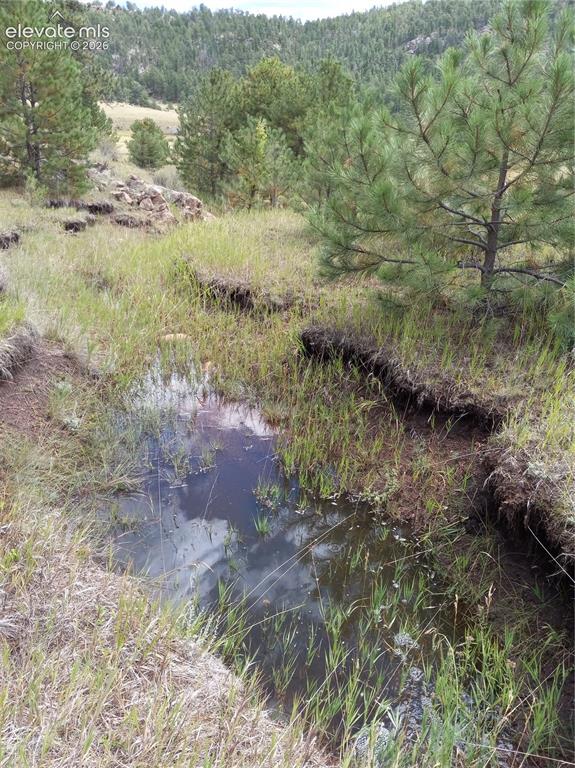 1137 County Road 111 Florissant CO 80816