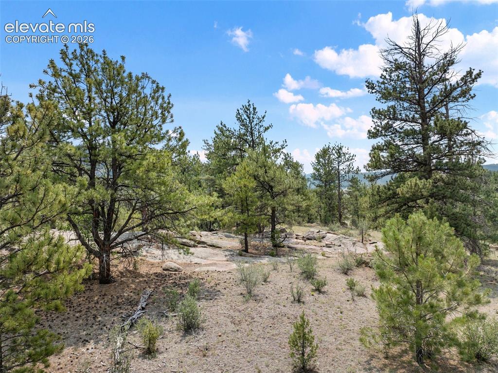 1137 County Road 111 Florissant CO 80816