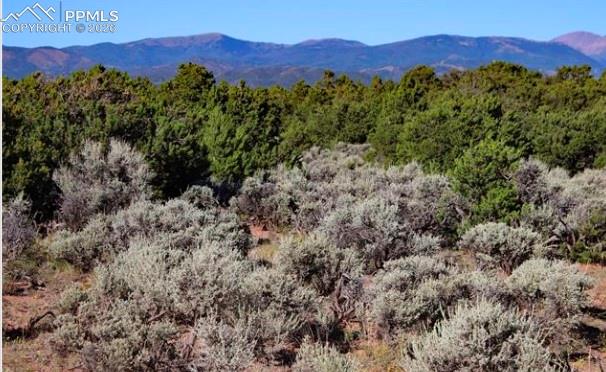 Lot 8 N Melby Ranch Road San Luis CO 81152