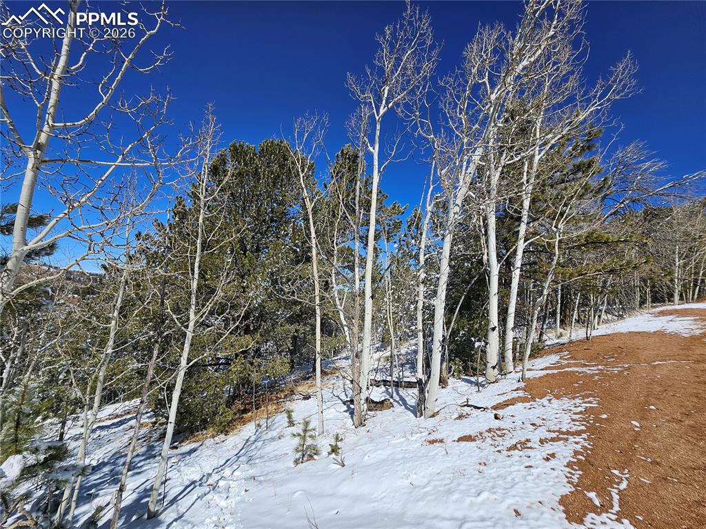 829 Princess Road Cripple Creek CO 80813
