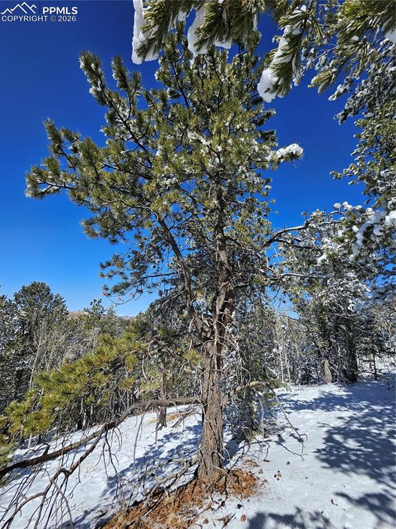829 Princess Road Cripple Creek CO 80813