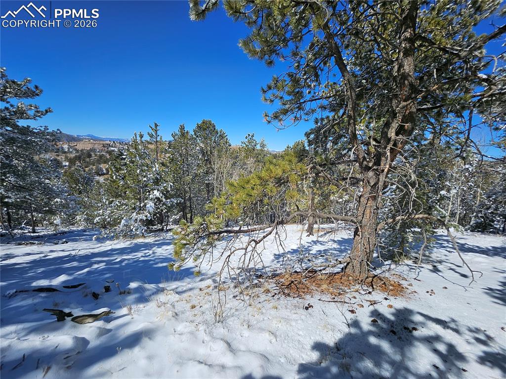 829 Princess Road Cripple Creek CO 80813