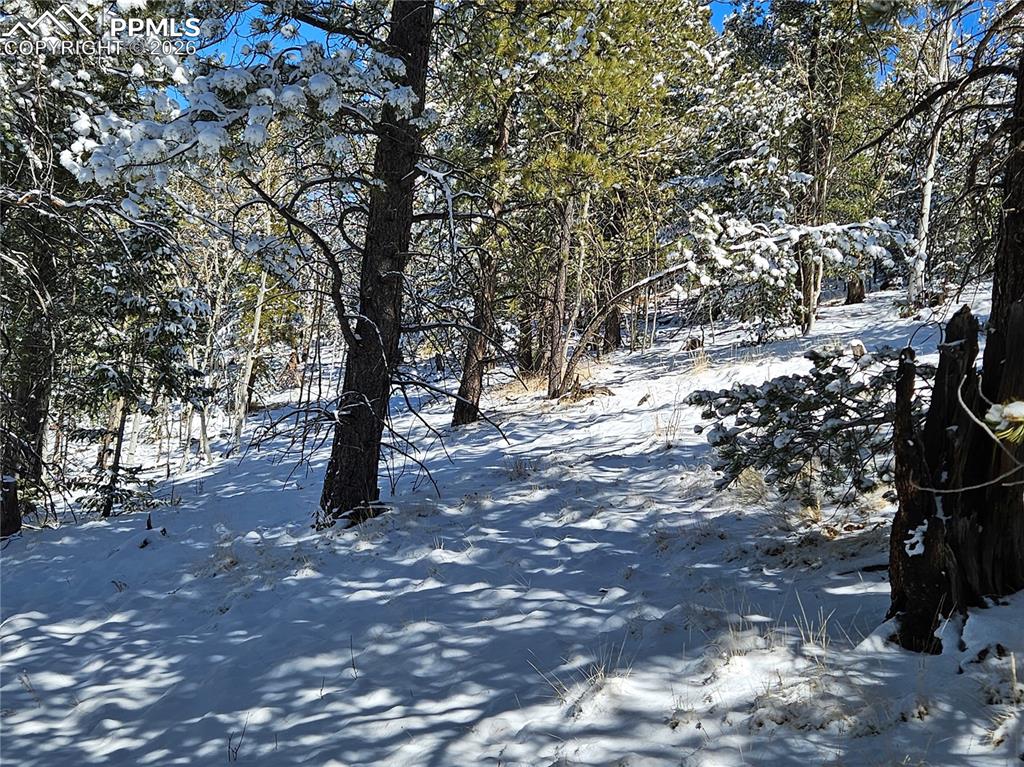 829 Princess Road Cripple Creek CO 80813