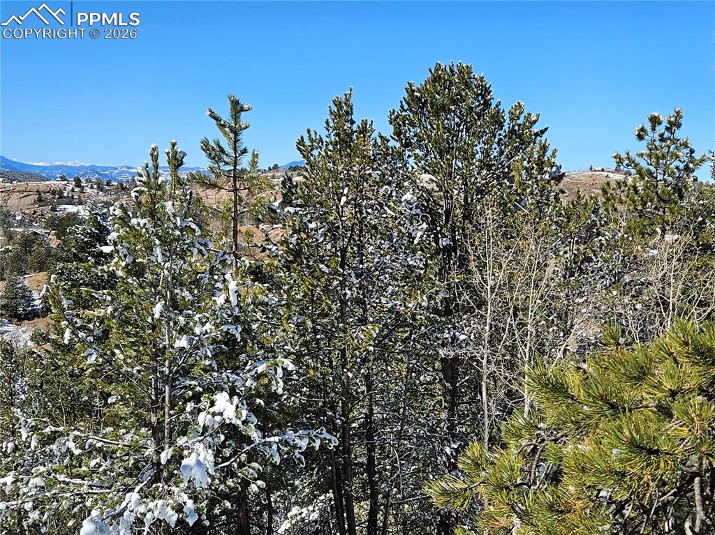 829 Princess Road Cripple Creek CO 80813