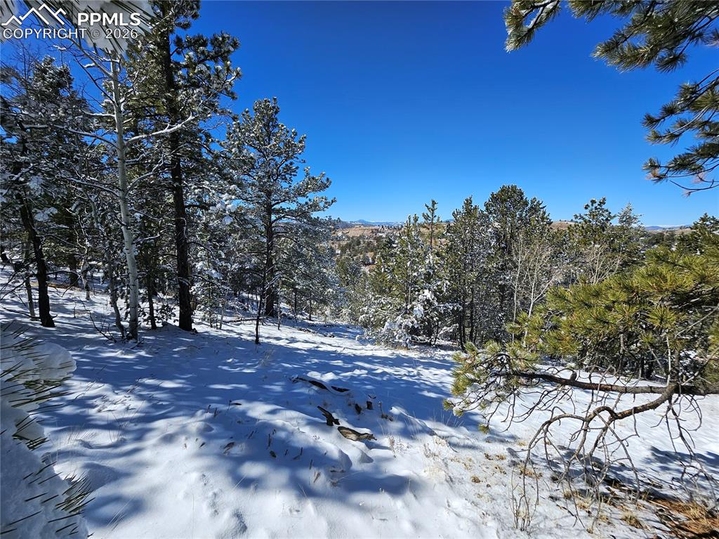829 Princess Road Cripple Creek CO 80813