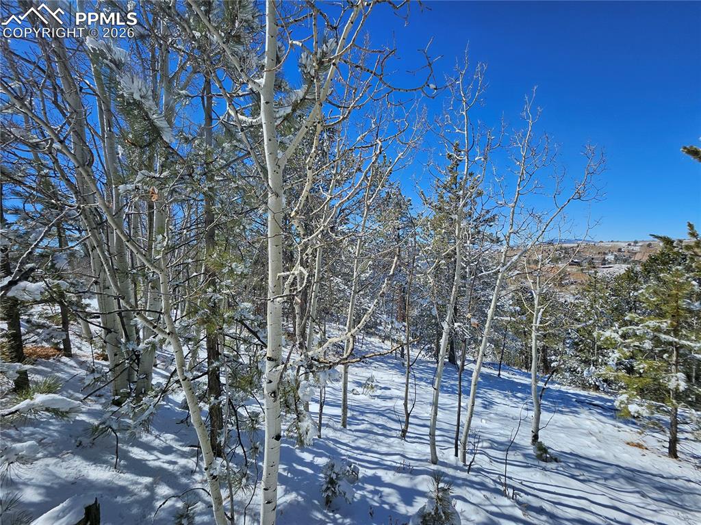 829 Princess Road Cripple Creek CO 80813
