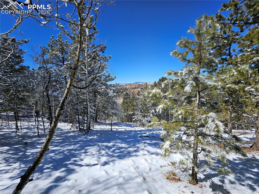 829 Princess Road Cripple Creek CO 80813
