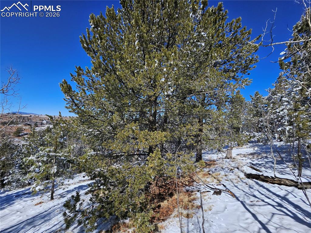 829 Princess Road Cripple Creek CO 80813