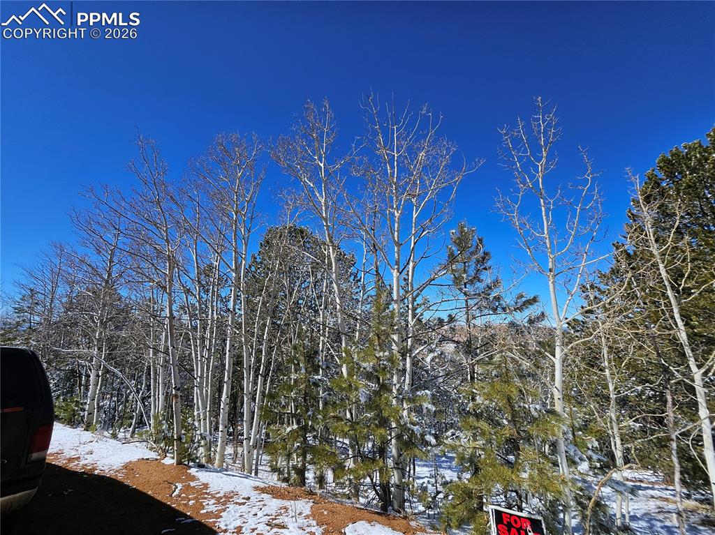 829 Princess Road Cripple Creek CO 80813