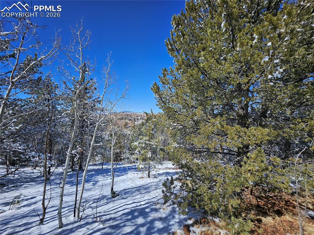 829 Princess Road Cripple Creek CO 80813