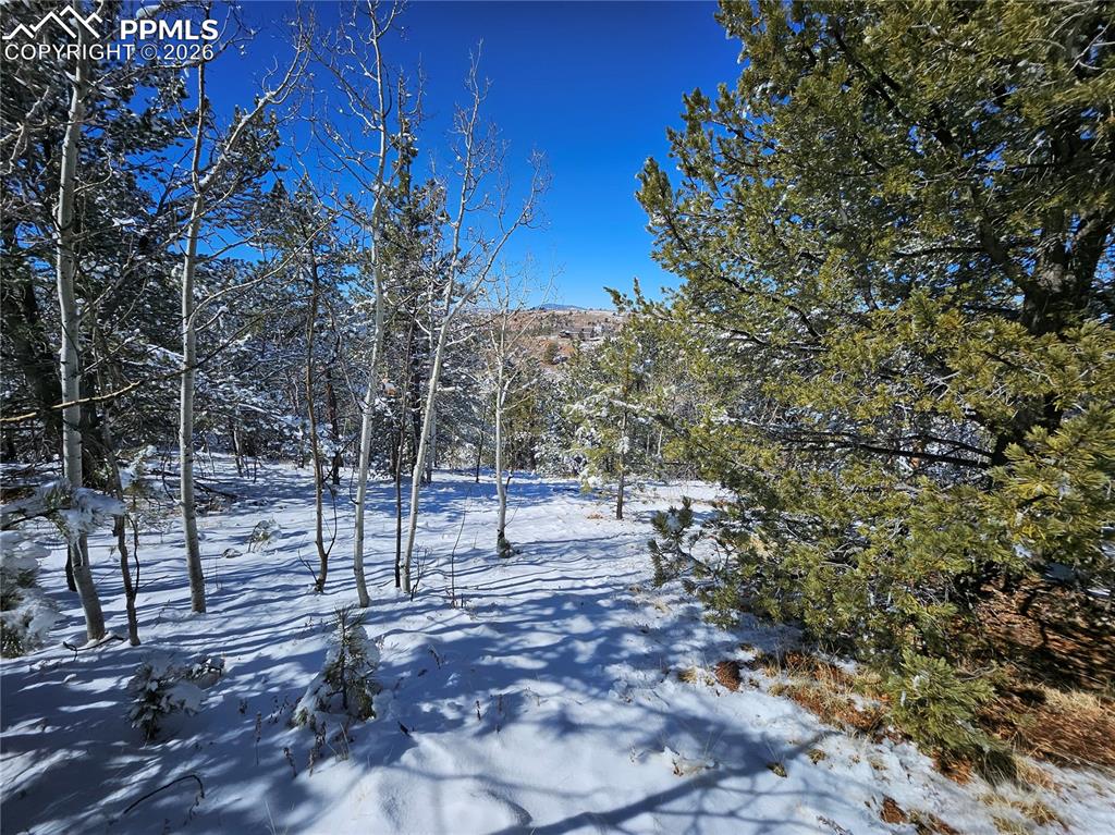 829 Princess Road Cripple Creek CO 80813