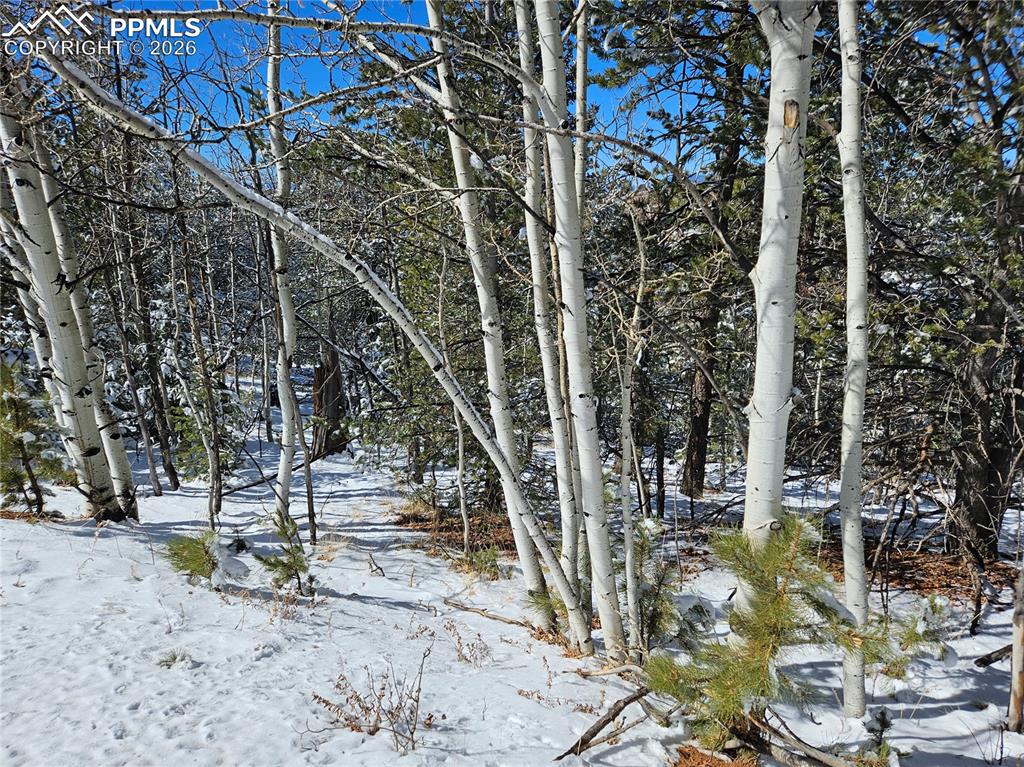829 Princess Road Cripple Creek CO 80813
