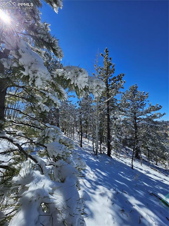 829 Princess Road Cripple Creek CO 80813