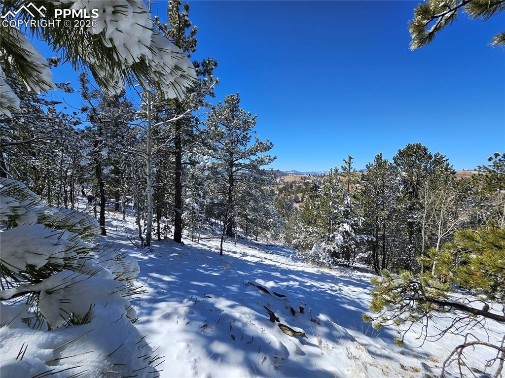829 Princess Road Cripple Creek CO 80813