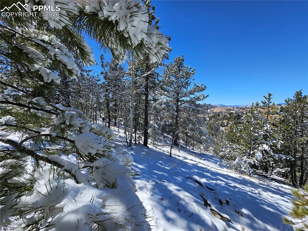 829 Princess Road Cripple Creek CO 80813
