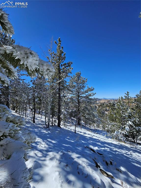 829 Princess Road Cripple Creek CO 80813