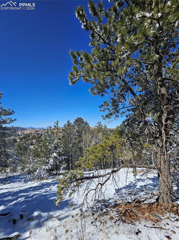 829 Princess Road Cripple Creek CO 80813