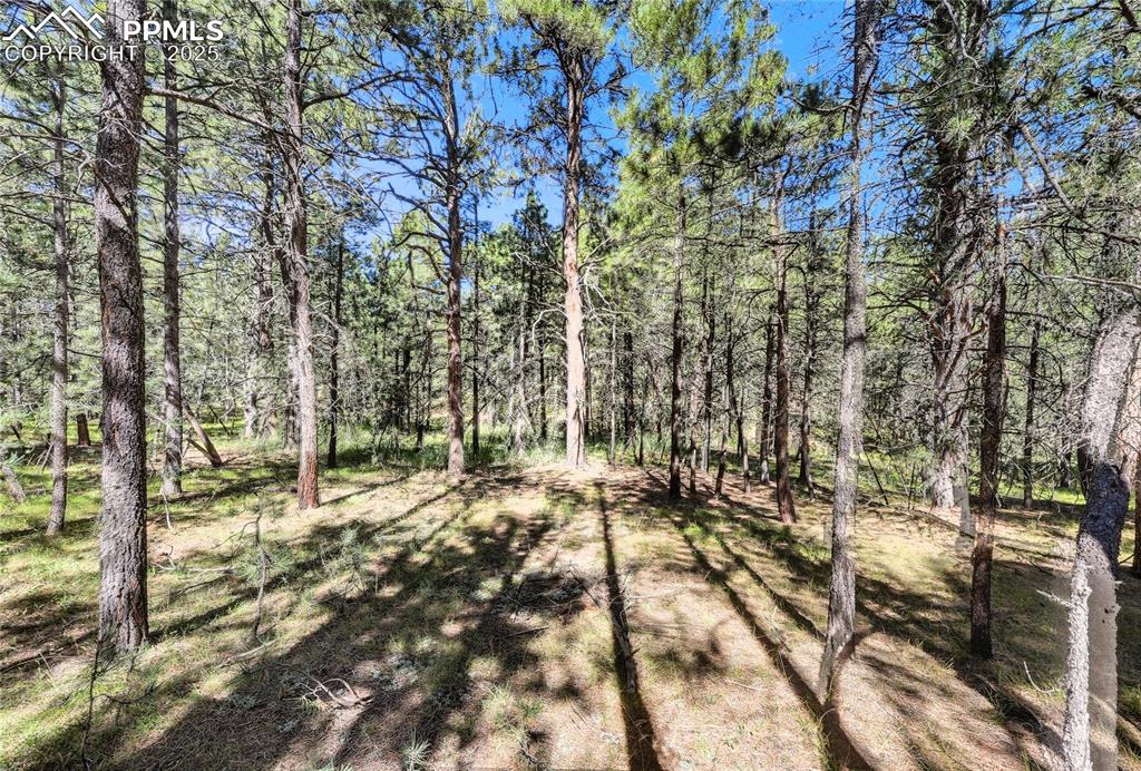 18400 Black Squirrel Road Colorado Springs CO 80908