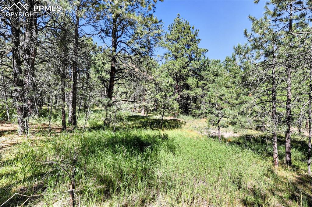18400 Black Squirrel Road Colorado Springs CO 80908