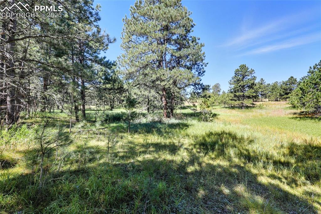 18400 Black Squirrel Road Colorado Springs CO 80908