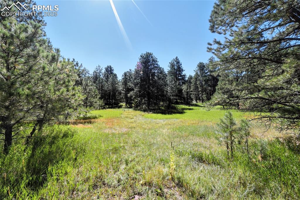 18400 Black Squirrel Road Colorado Springs CO 80908