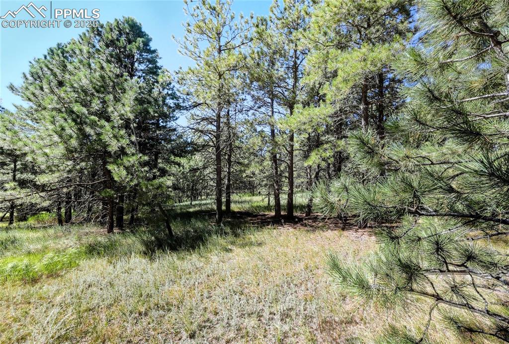 18400 Black Squirrel Road Colorado Springs CO 80908