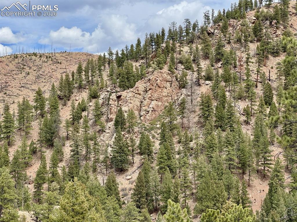 13526 N Highway 67 Woodland Park CO 80863
