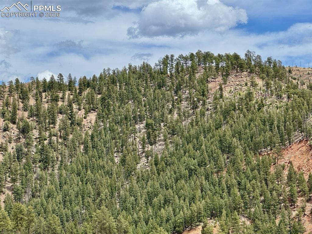 13526 N Highway 67 Woodland Park CO 80863