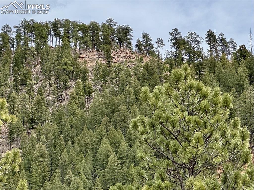 13526 N Highway 67 Woodland Park CO 80863