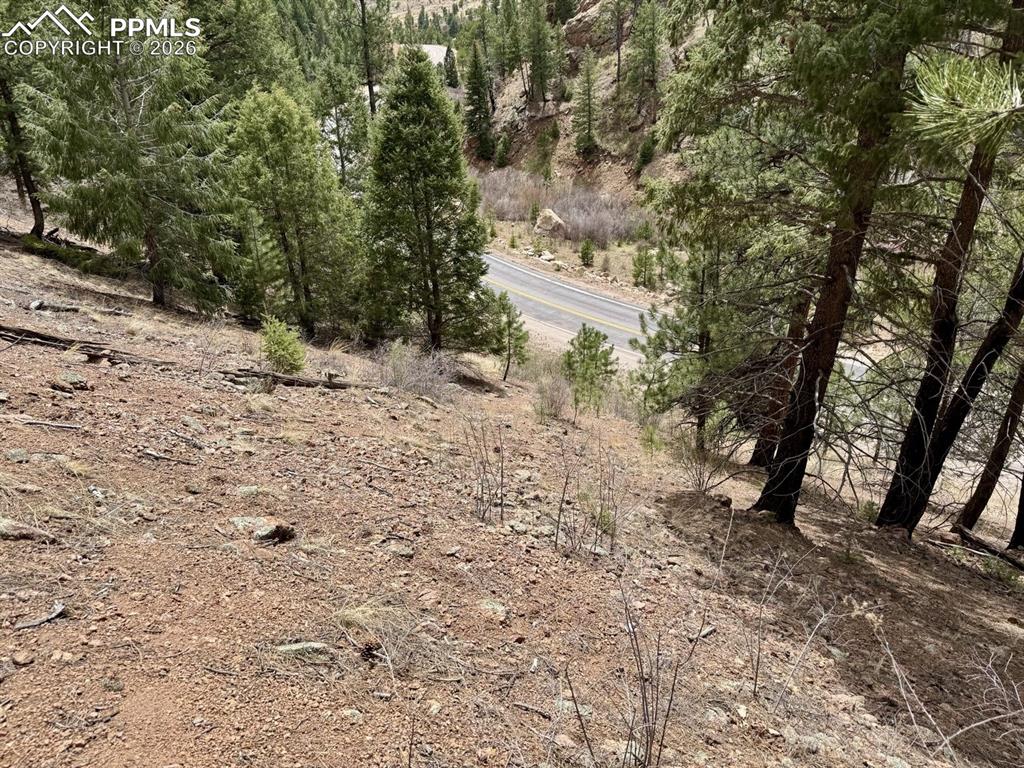 13526 N Highway 67 Woodland Park CO 80863