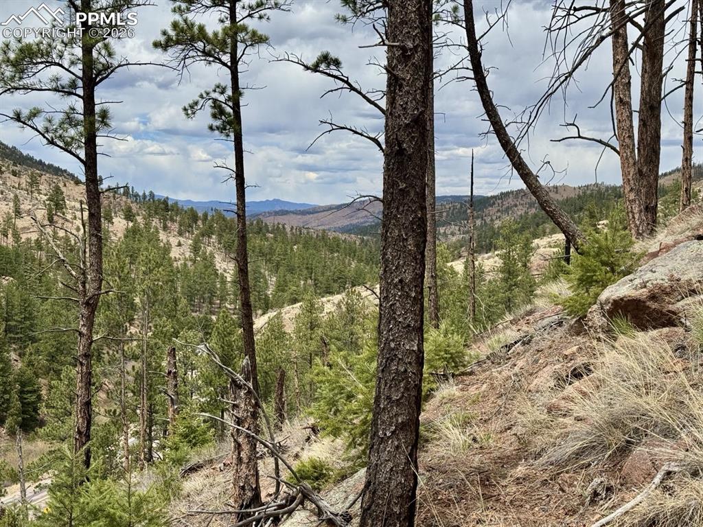 13526 N Highway 67 Woodland Park CO 80863