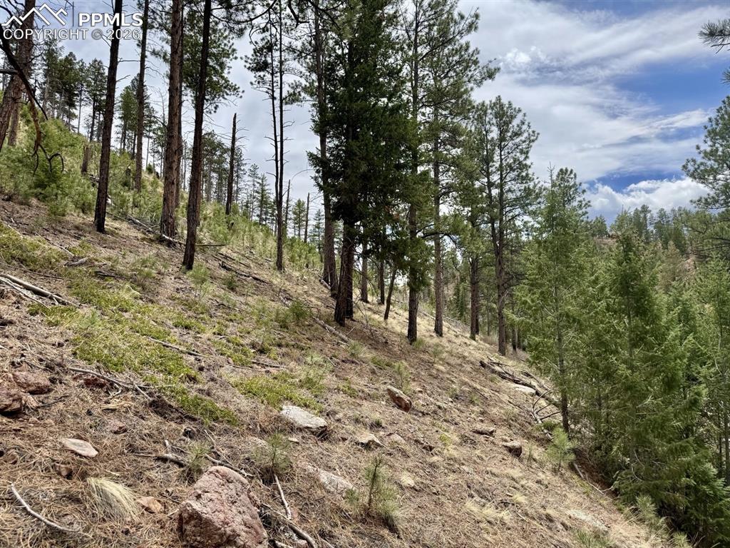 13526 N Highway 67 Woodland Park CO 80863