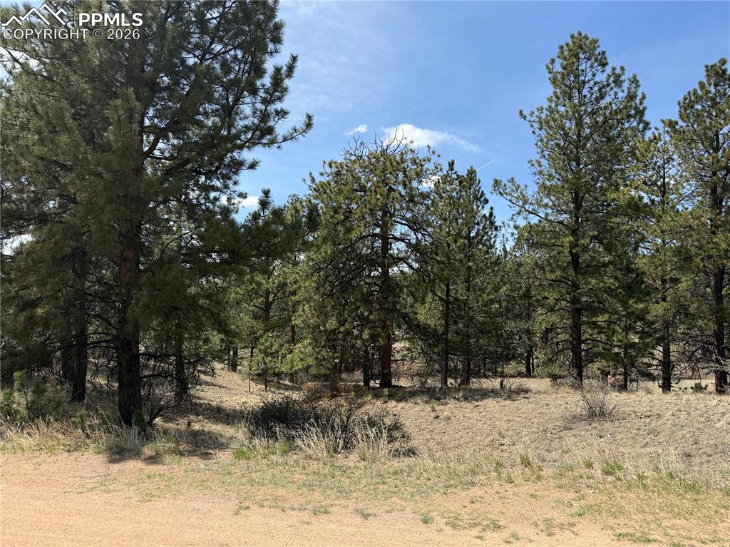 99 Cheyenne Way Florissant CO 80816