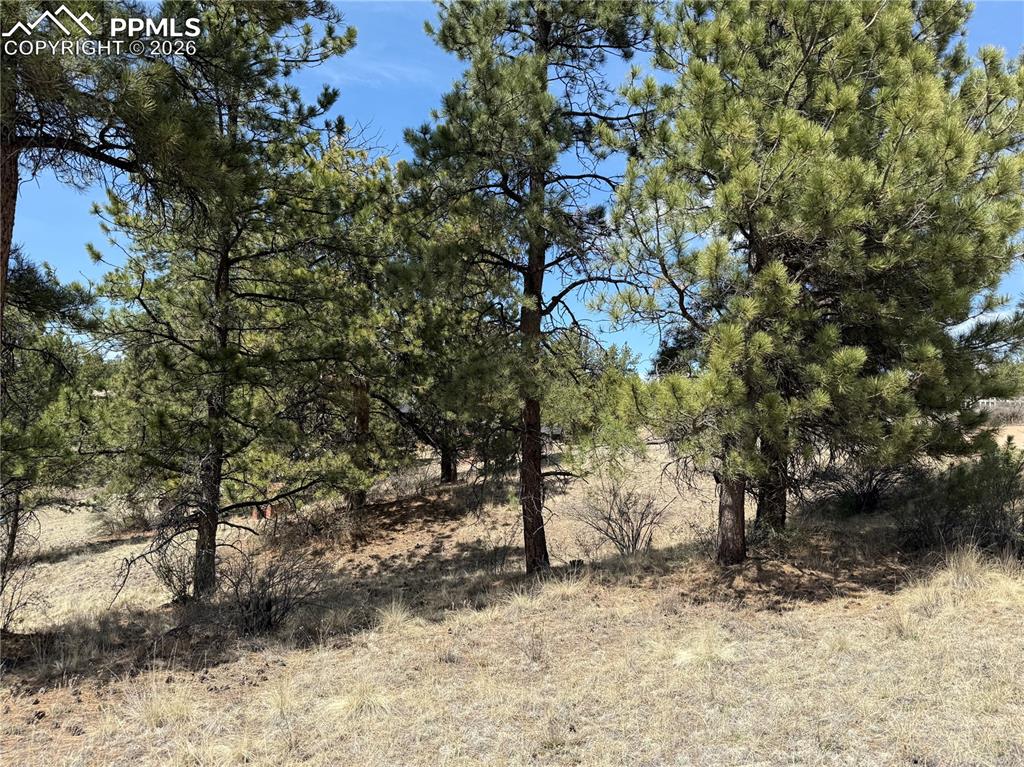 99 Cheyenne Way Florissant CO 80816