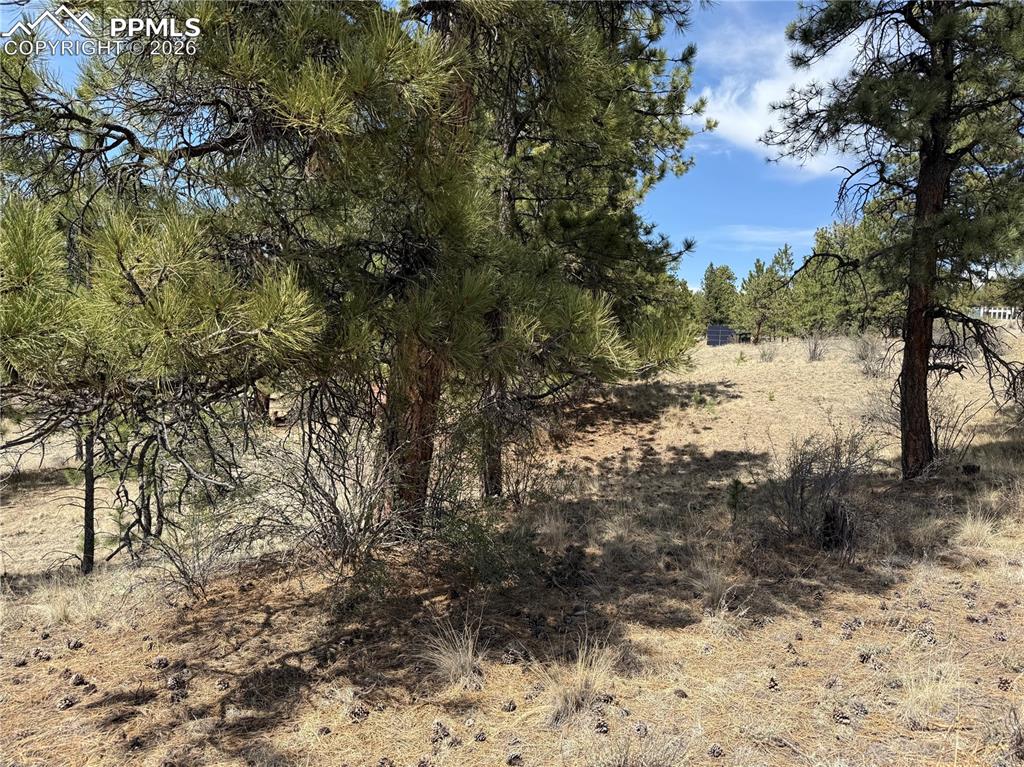 99 Cheyenne Way Florissant CO 80816