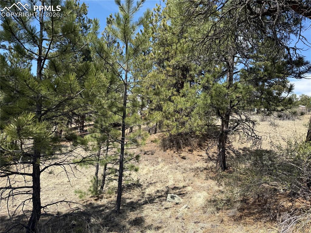 99 Cheyenne Way Florissant CO 80816