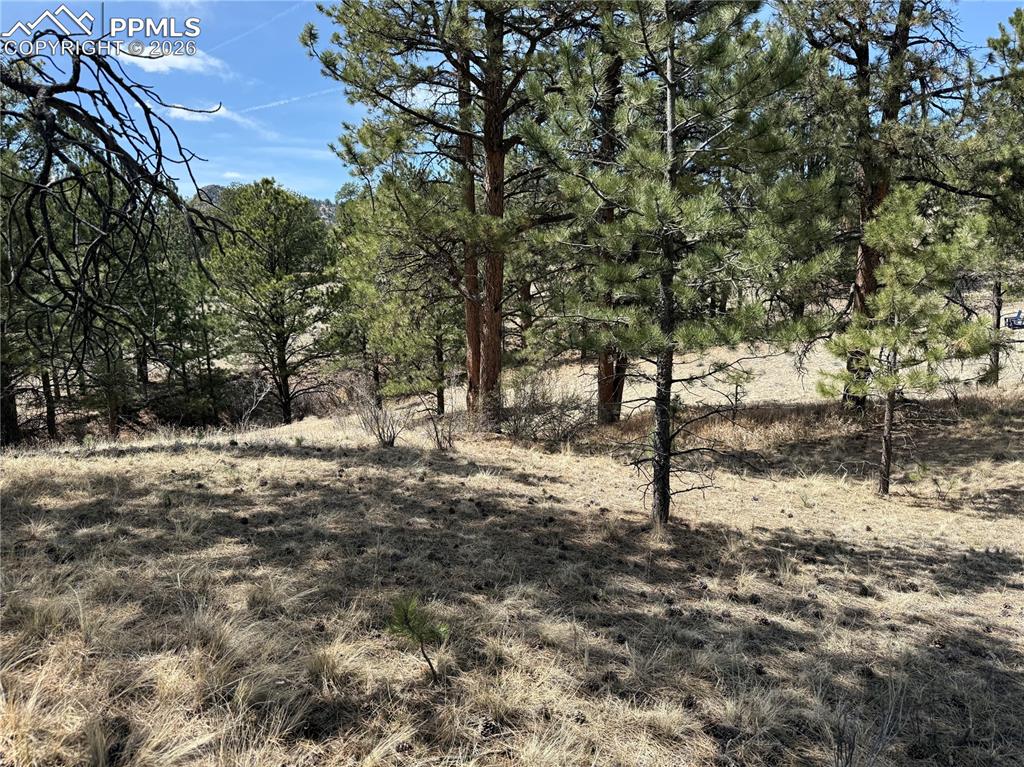 99 Cheyenne Way Florissant CO 80816