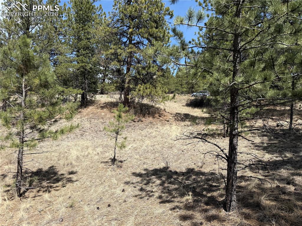 99 Cheyenne Way Florissant CO 80816
