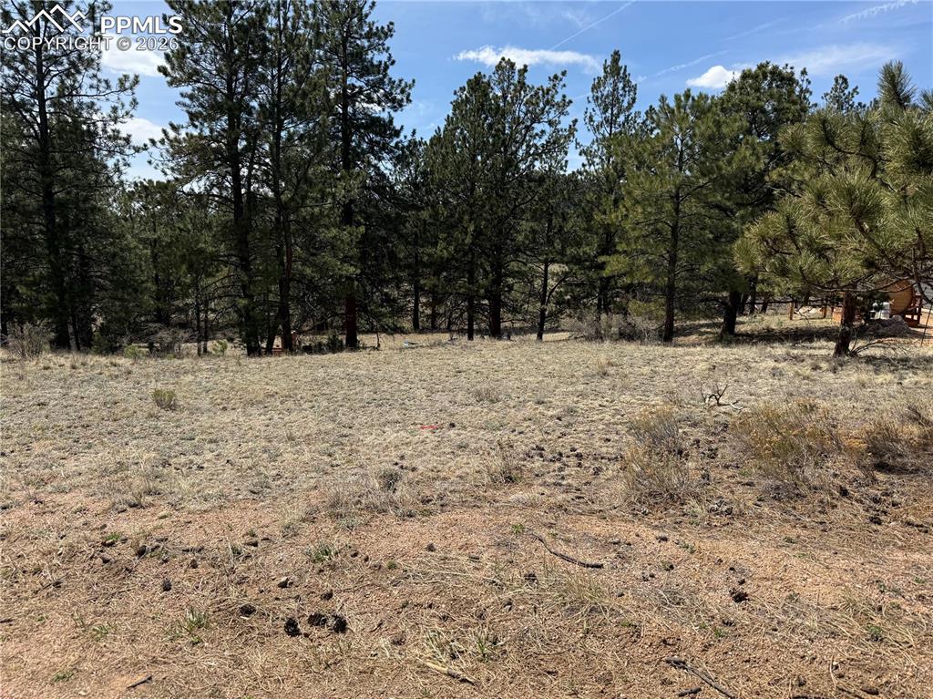 99 Cheyenne Way Florissant CO 80816