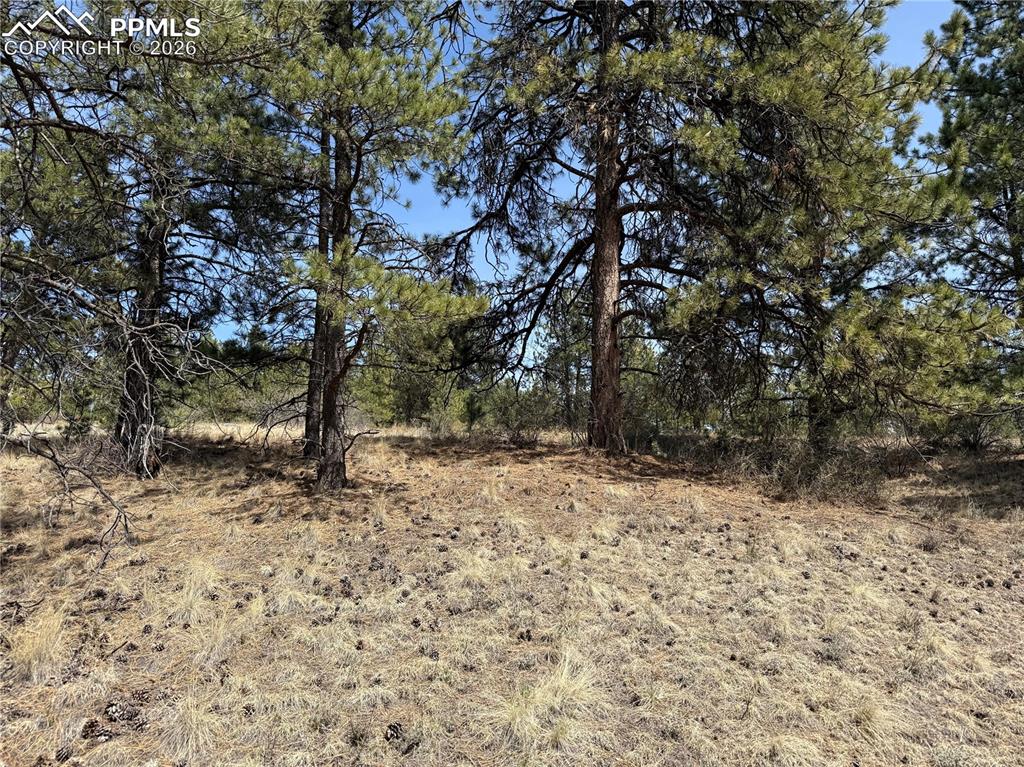 99 Cheyenne Way Florissant CO 80816