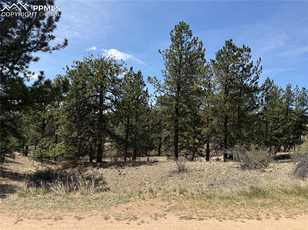 99 Cheyenne Way Florissant CO 80816