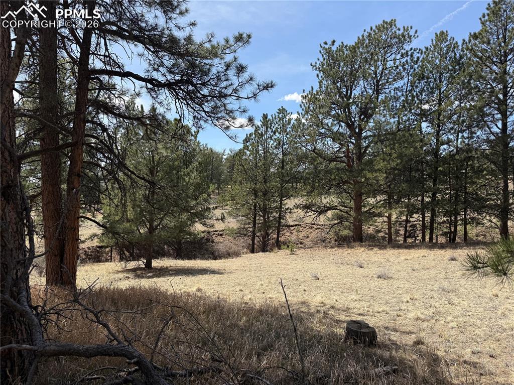 99 Cheyenne Way Florissant CO 80816