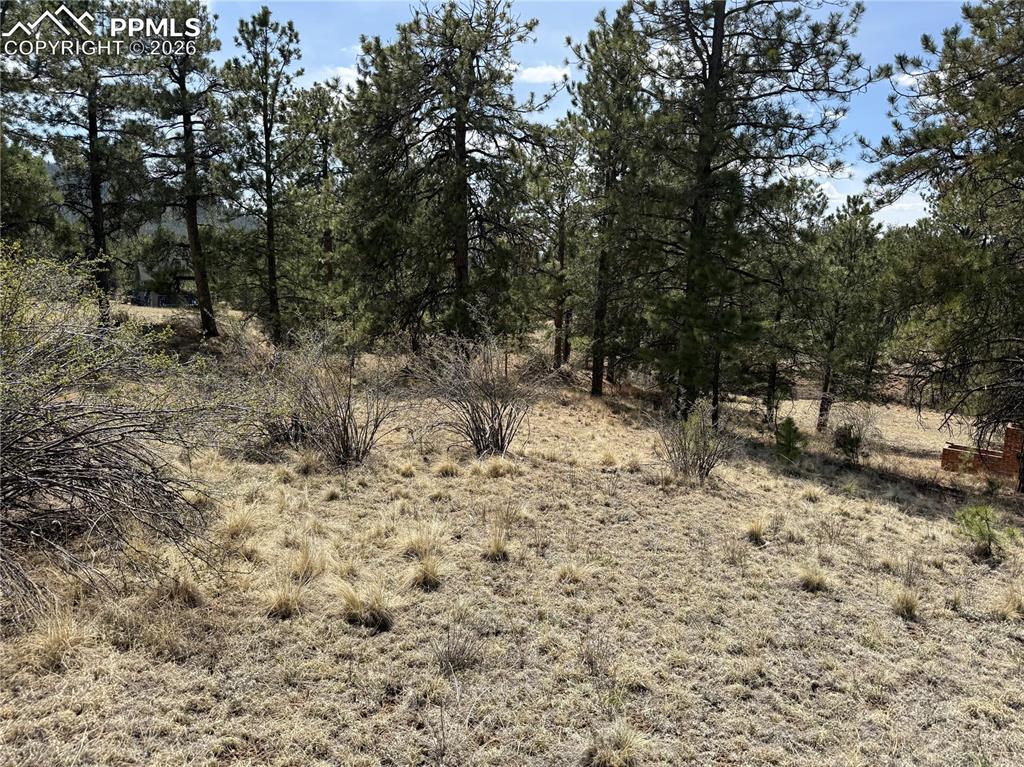 99 Cheyenne Way Florissant CO 80816