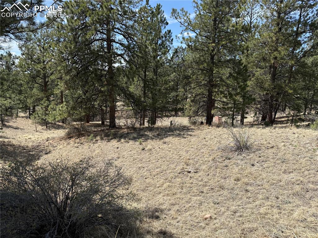 99 Cheyenne Way Florissant CO 80816