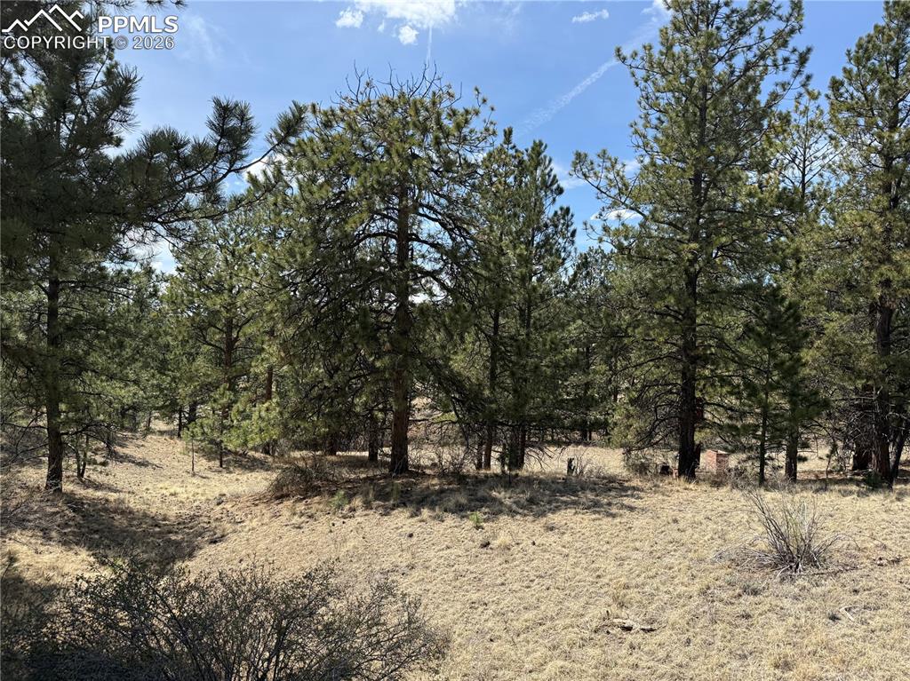 99 Cheyenne Way Florissant CO 80816