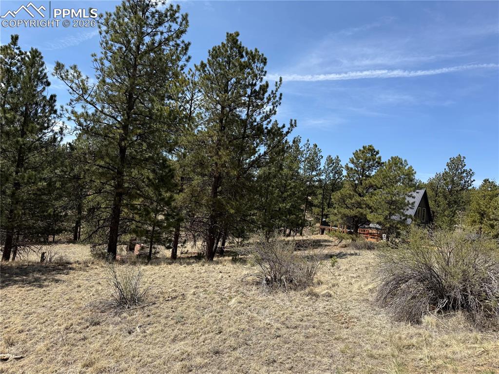 99 Cheyenne Way Florissant CO 80816