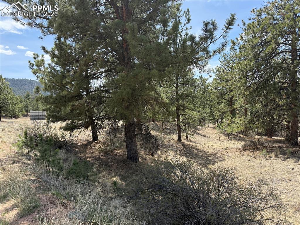 99 Cheyenne Way Florissant CO 80816