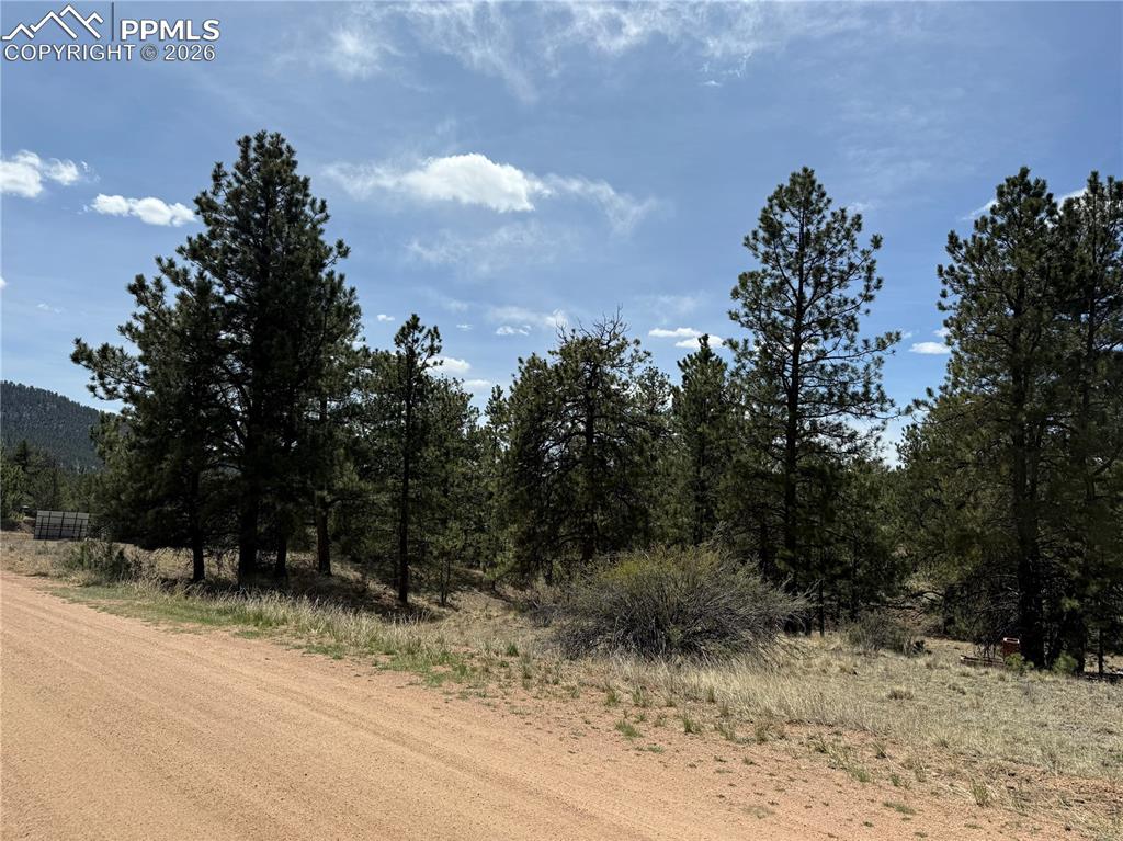 99 Cheyenne Way Florissant CO 80816
